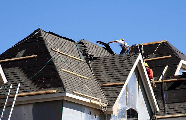 Best Roof Gutter Cleaning  in Lake Dunlap, TX