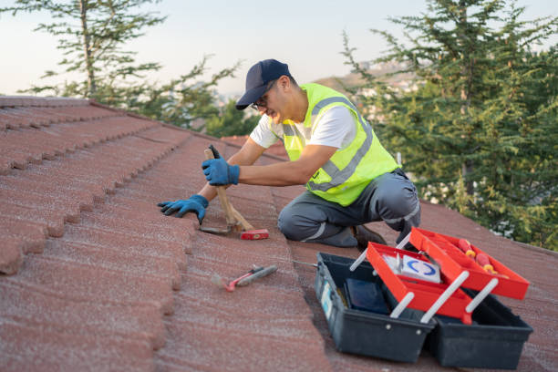 Roof Gutter Cleaning in Lake Dunlap, TX